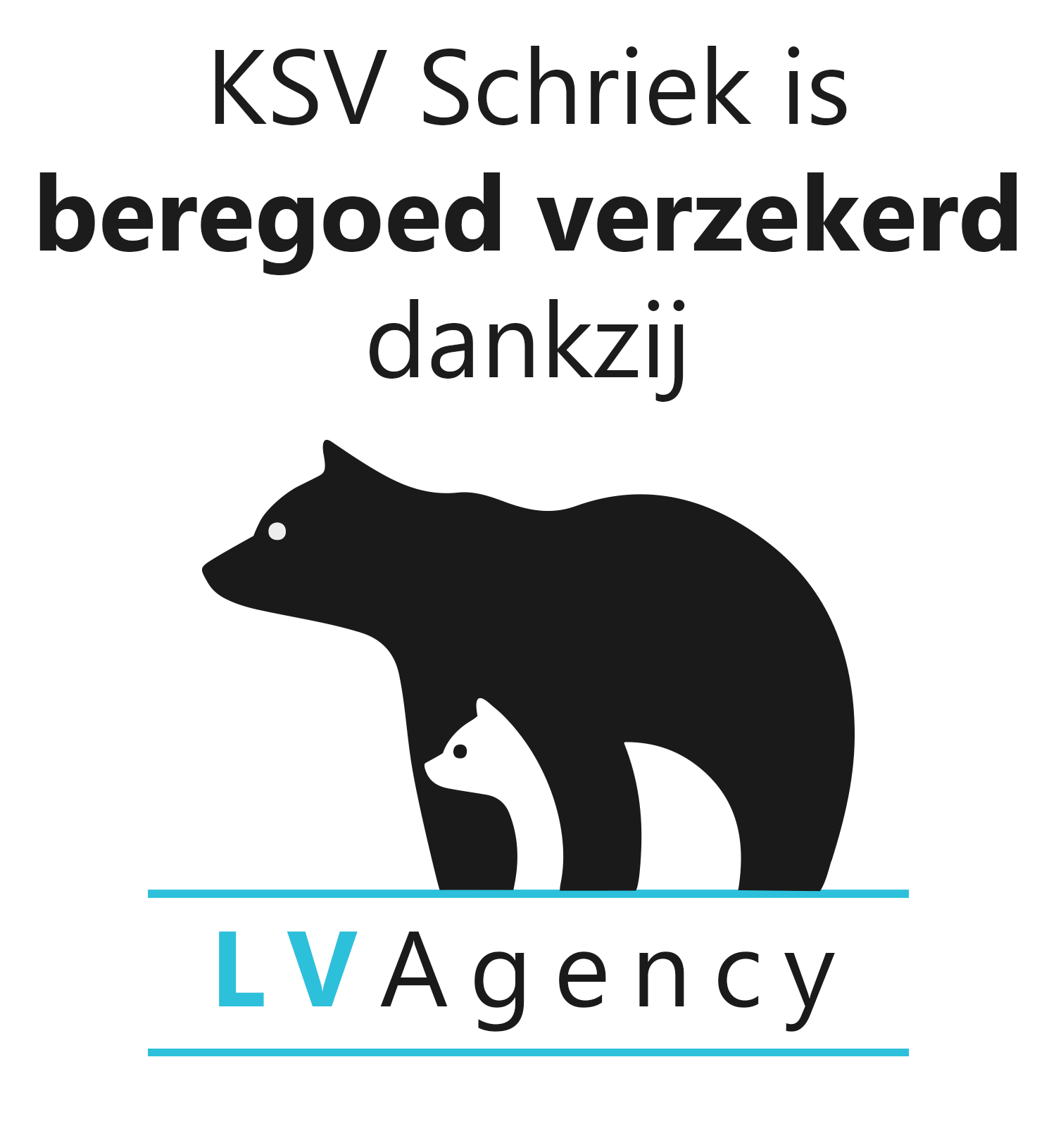 Beregoed verzekerd dankzij LV Agency. Verzekeringen Schriek. Verzekeringsmakelaar Schriek.